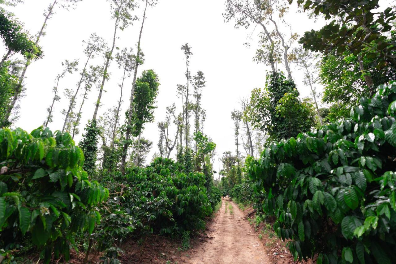Saffronstays Cafella- A 3-Bdr Elliptical-Roof Villa In Chikmagalur Mudigere 外观 照片